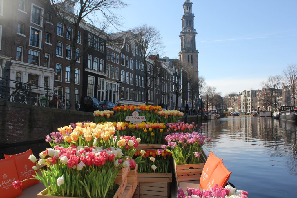 Amsterdam tulip canal cruise
